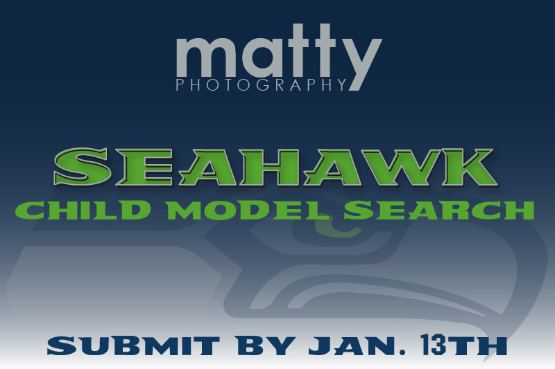 seahawkModelSearchHeader