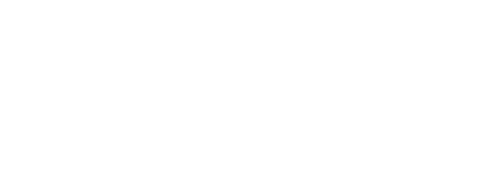 Model1